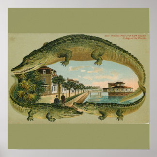 Print of 1905 St. Augustine Florida Poster