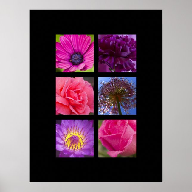 Print - Rosa und violette Blumen Poster (Vorne)