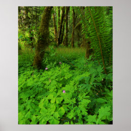 Print, Value Poster Paper (Matte)