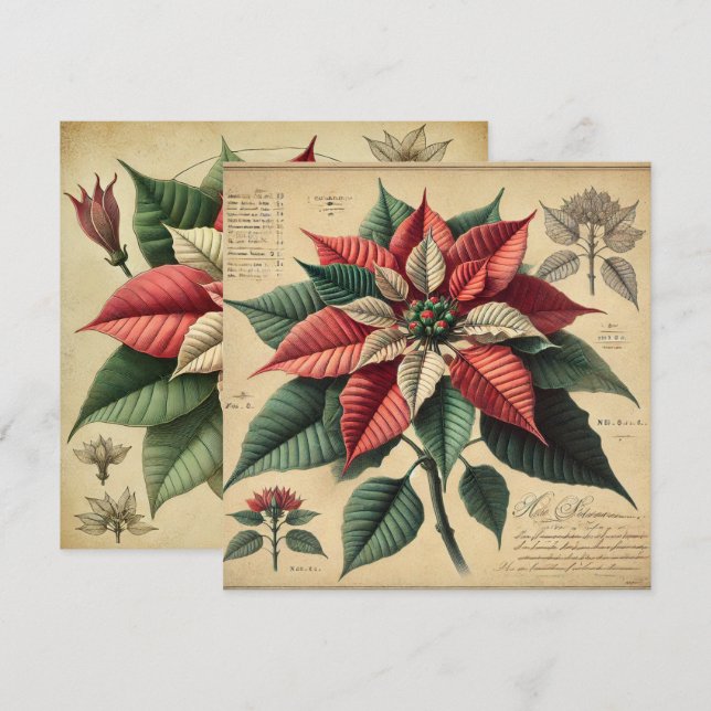 Printable Retro Poinsettia Botanisches Scrapbook Einladung (Vorne/Hinten)