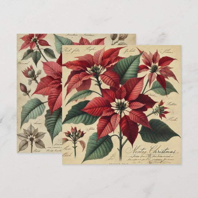 Printable Vintage Christmas Poinsettia Botanisch Einladung (Vorne/Hinten)