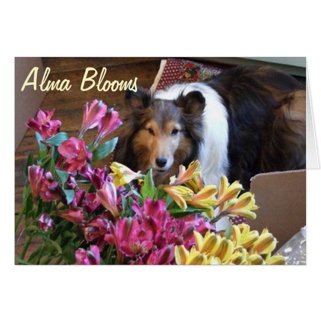 Printemps (Devant horizontal)