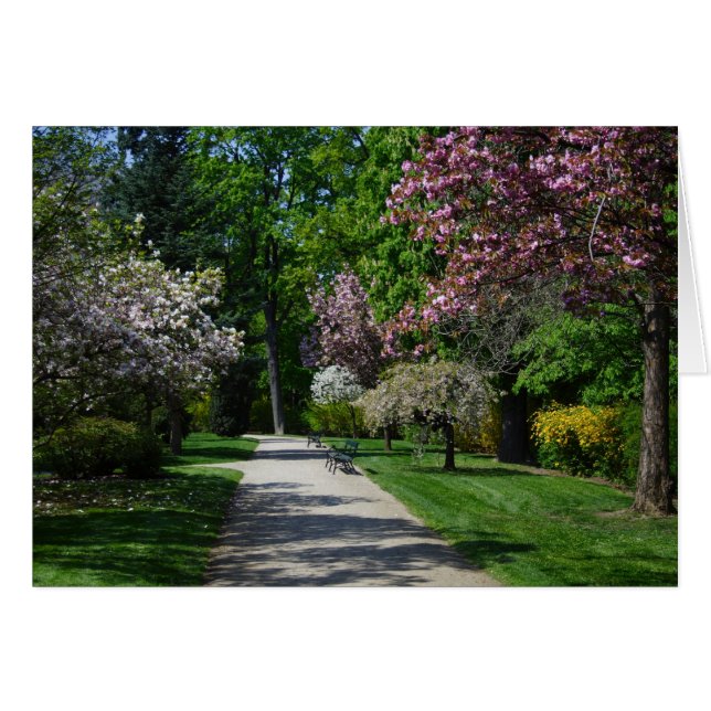 Printemps (Devant horizontal)