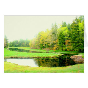 Printemps à Otis Cove