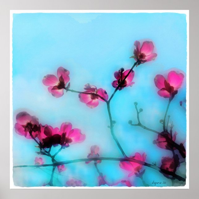 Printemps, affiche (Devant)