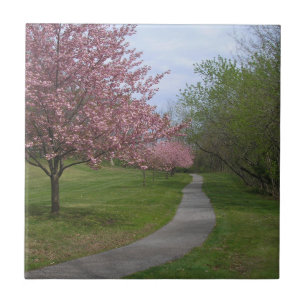 Printemps ! Carreaux de céramique