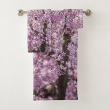 Printemps de fleurs de cerisiers