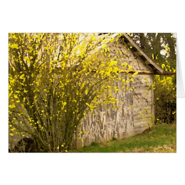 Printemps des Appalaches (Devant horizontal)