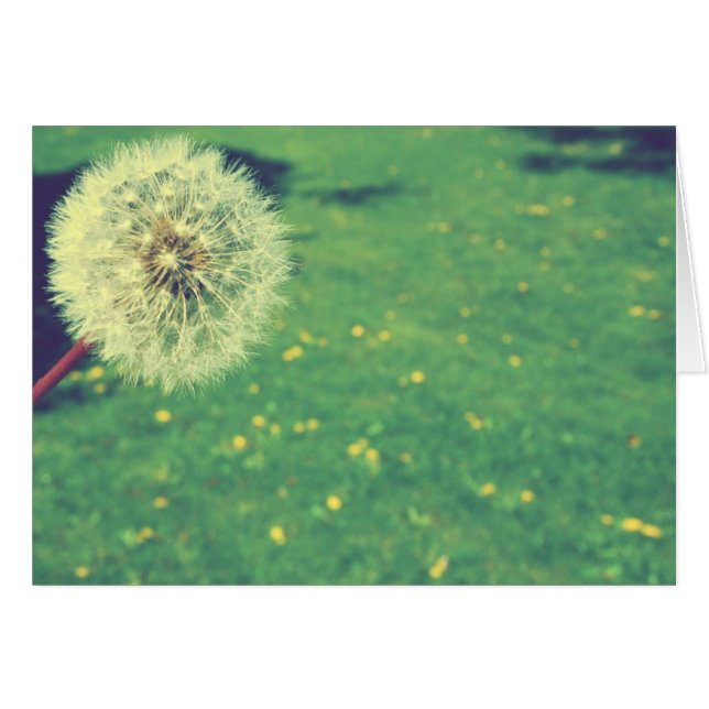 Printemps Vintages voeux Photographie (Devant horizontal)