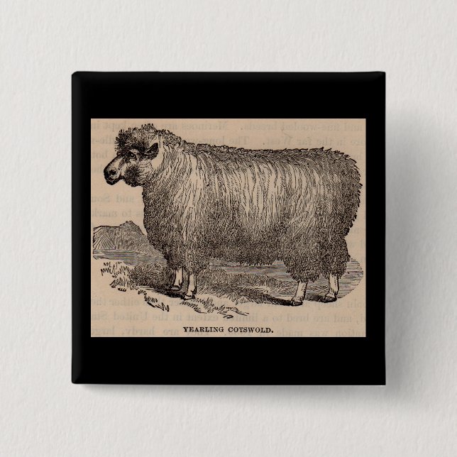Printjarling Cotswold Schafe aus dem 19. Jahrhunde Button (Vorderseite)