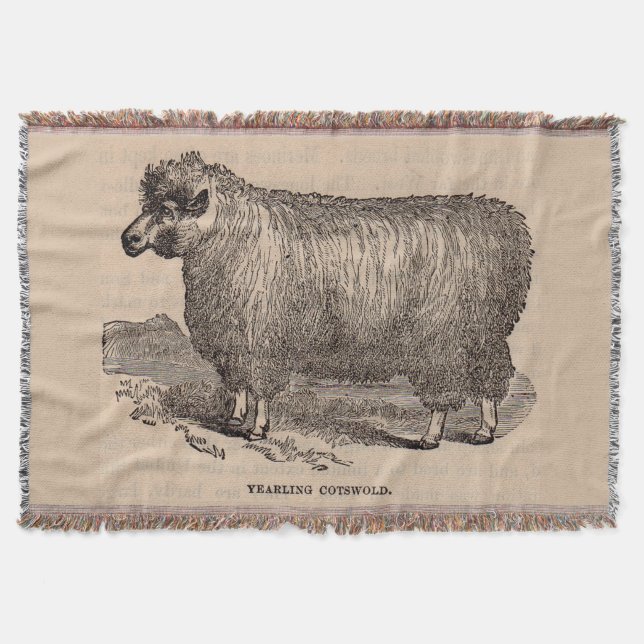 Printjarling Cotswold Schafe aus dem 19. Jahrhunde Decke (Vorderseite)