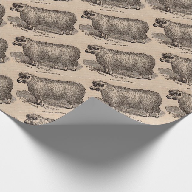 Printjarling Cotswold Schafe aus dem 19. Jahrhunde Geschenkpapier (Ecke)
