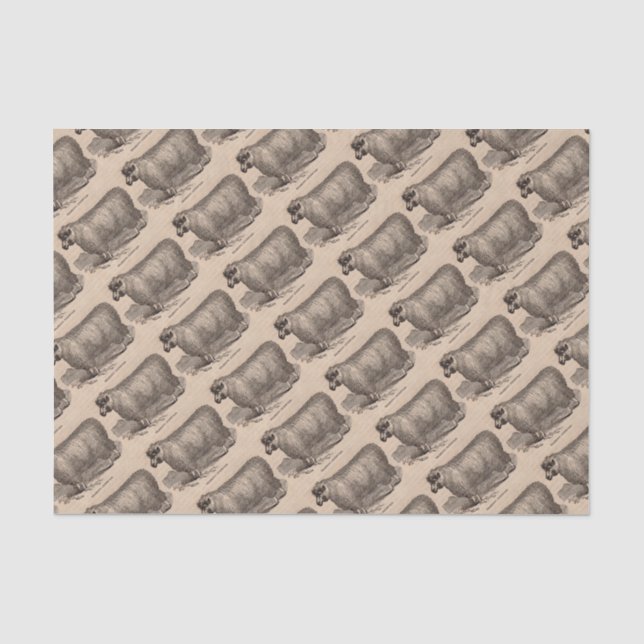 Printjarling Cotswold Schafe aus dem 19. Jahrhunde Seidenpapier (Vorderseite)