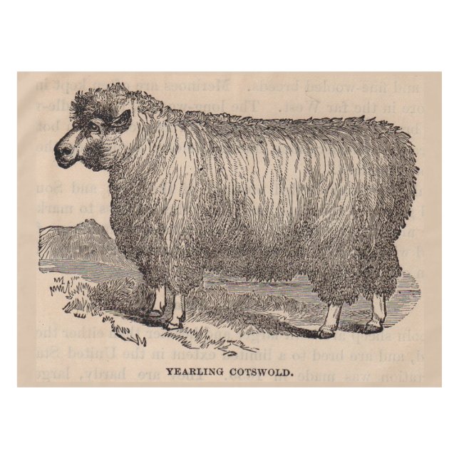 Printjarling Cotswold Schafe aus dem 19. Jahrhunde Tischdecke (Vorderseite (Horizontal))