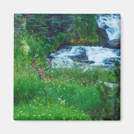 Prinz des Waldes Magnet