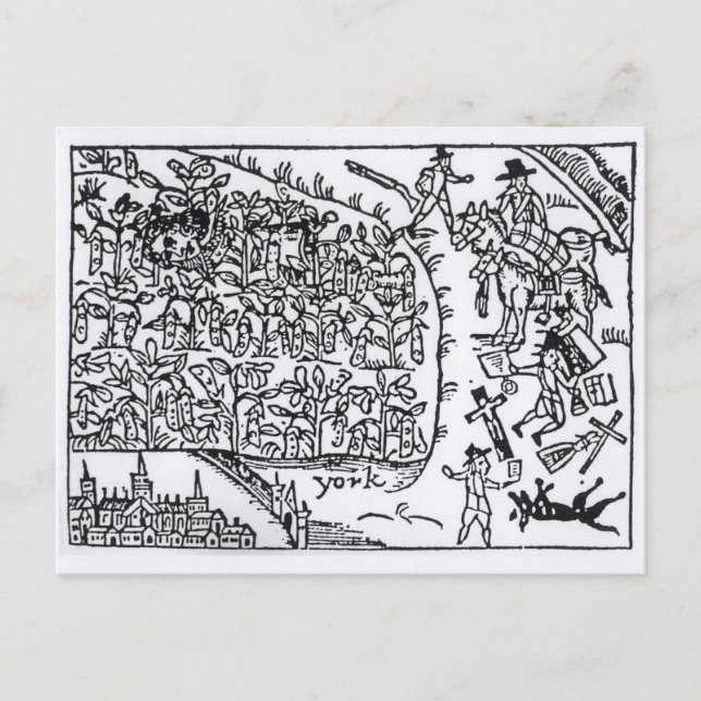 Prinz Rupert Verstecken in einer Bean Postkarte (Vorderseite)