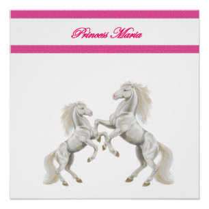 Prinzessin Maria Poster