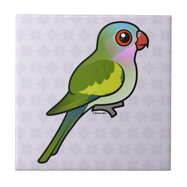 Prinzessin Parrot Fliese (Vorderseite)