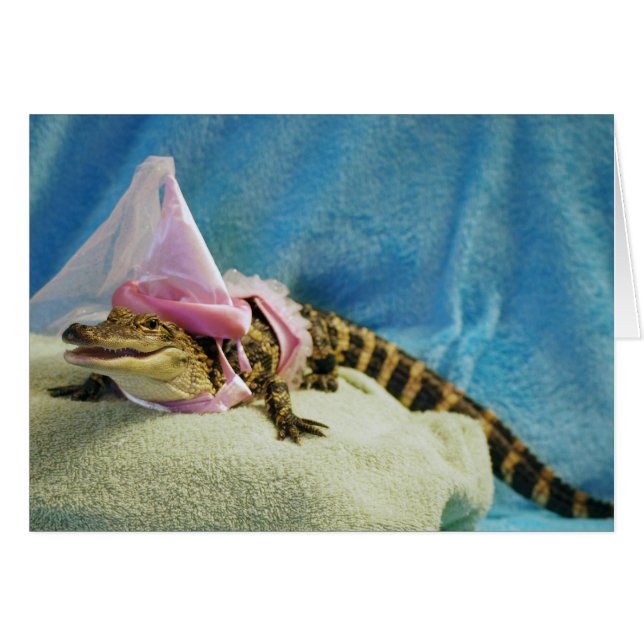 Prinzessin Penny Cards (Vorderseite (Horizontal))