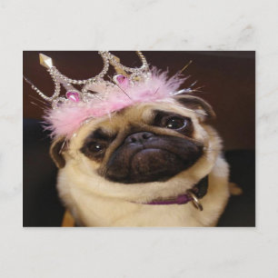 Prinzessin Pug Postkarte