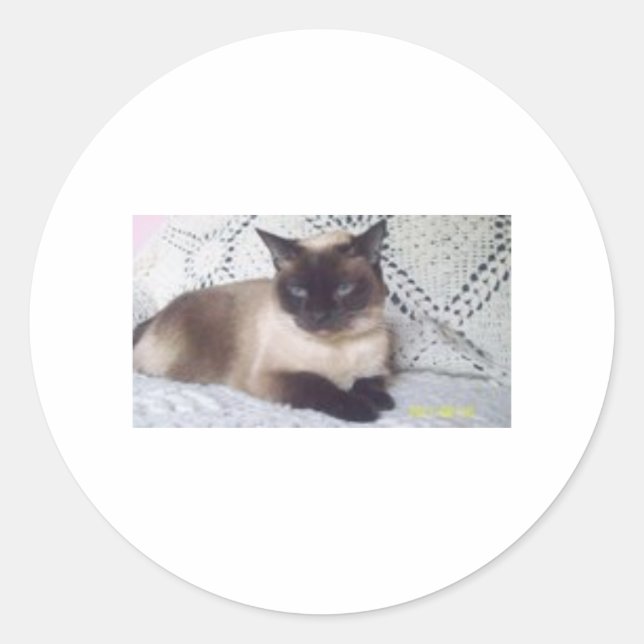 Prinzessin Runder Aufkleber (Vorderseite)