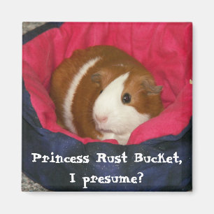 Prinzessin Rust Bucket, nehme ich an? Magnet
