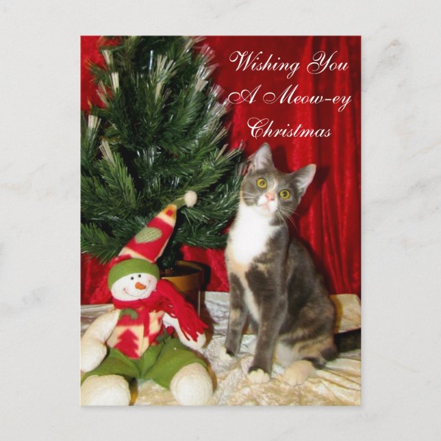 Prinzessin Tianas Weihnachtskarte - Katze / Kitten Feiertagspostkarte (Vorderseite)