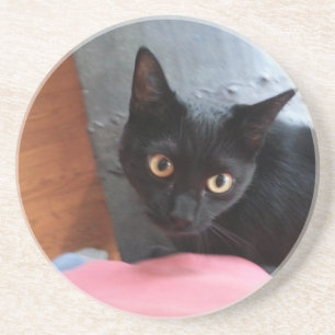 Priscilla Katze Getränkeuntersetzer