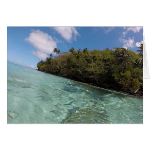 Prise d'air de Polynésie française