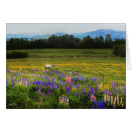 Prise en compte dans la vue