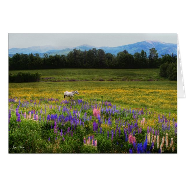 Prise en compte dans la vue (Devant horizontal)