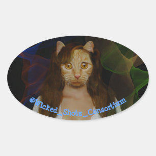 Pritty KiTty Ovaler Aufkleber