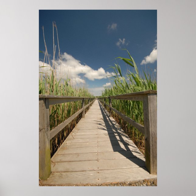 Privatdock Poster (Vorne)