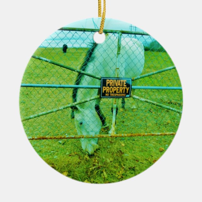 Private Property, Horse Keramikornament (Vorne)