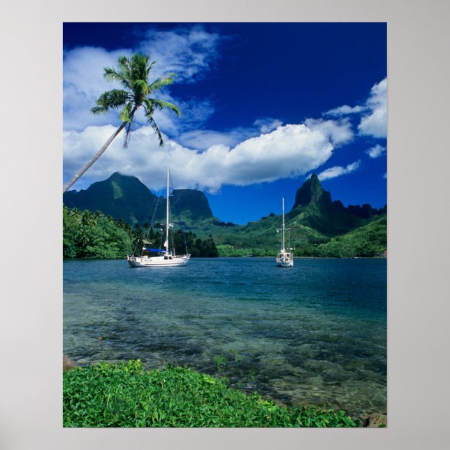 Private Yachten in der Bucht von Opunohu an der Kü Poster (Vorne)
