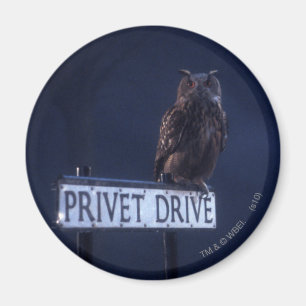 Privet Drive Magnet