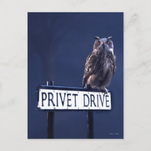 Privet Drive Postkarte