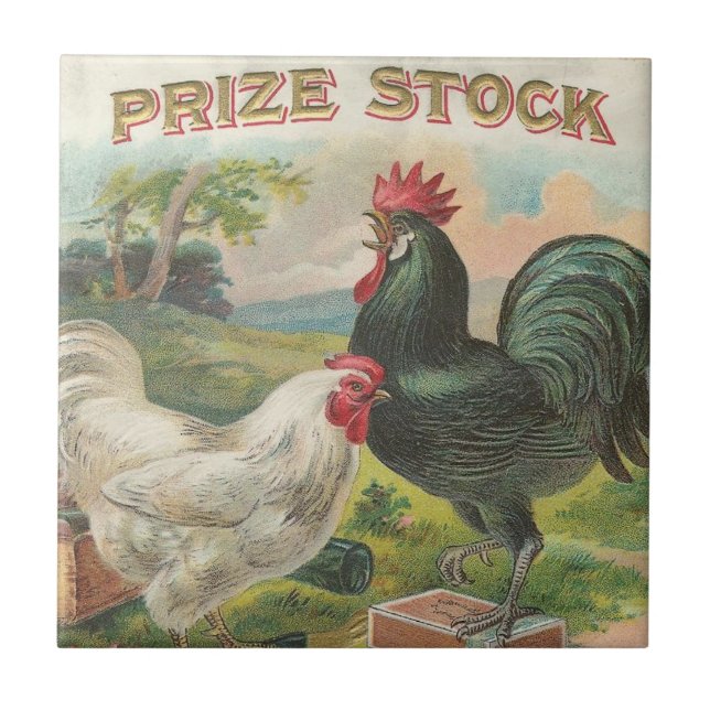 Prize Vorrat Fliese (Vorderseite)