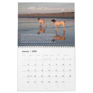 PRO 2025 - 25. Jahrestag Kalender