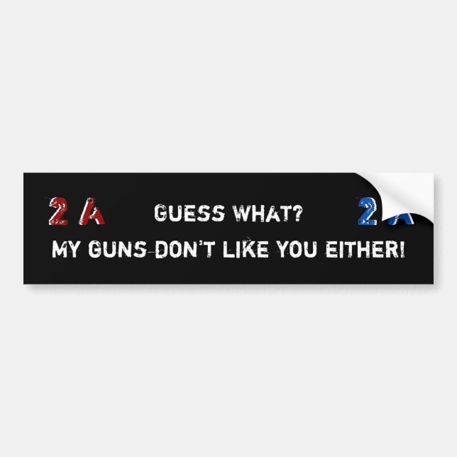 Pro 2. Änderung Meine Waffen mögen Sie nicht entwe Autoaufkleber (Vorne)