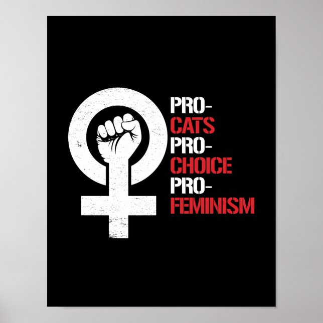 Pro-Cats Pro-Choice Pro-Feminismus — weiß - Poster (Vorne)