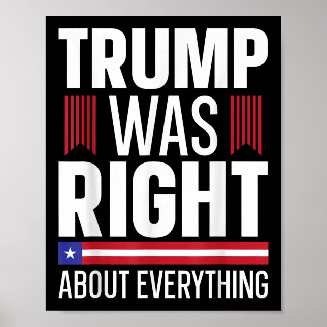 Pro Donald Trump hatte in allem recht Poster (Vorne)