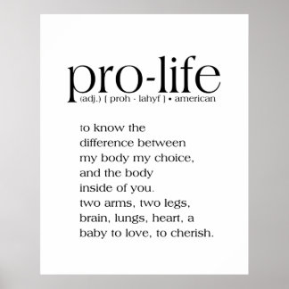 Pro-Life Definition Wall Art Poster
