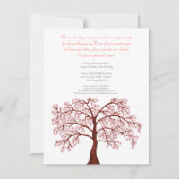 Proben-Abendessen-Kirschblüten-Kirschblüte-Baum