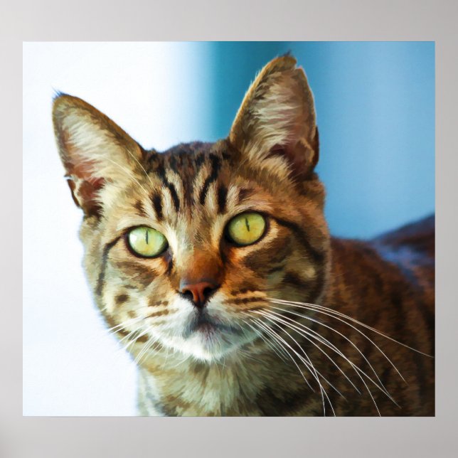 Problem Poster (Vorne)