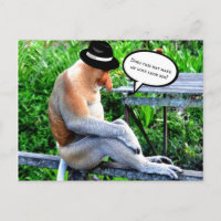 Proboscis-Affe-Kann das meine Nase groß aussehen l