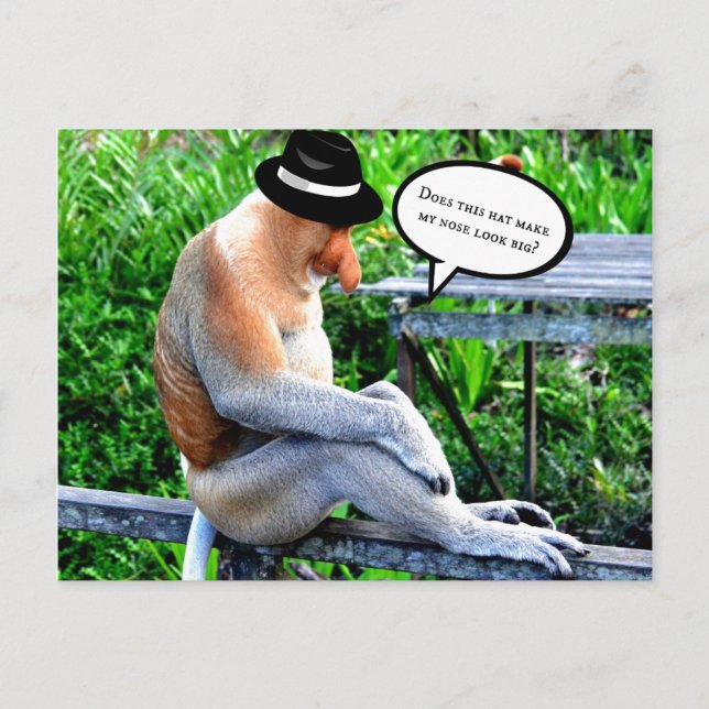 Proboscis-Affe-Kann das meine Nase groß aussehen l Postkarte (Vorderseite)