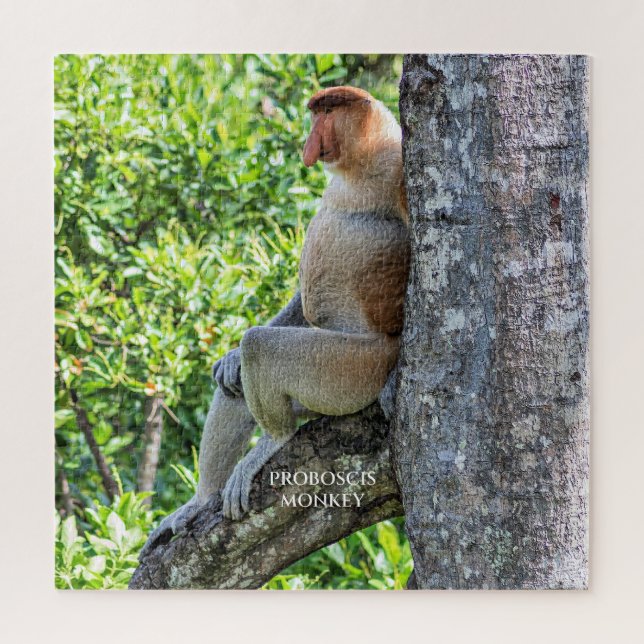 Proboscis Monkey (Vertikal)