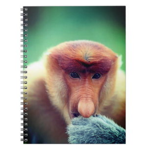 Proboscis Monkey in Borneo. Notizblock