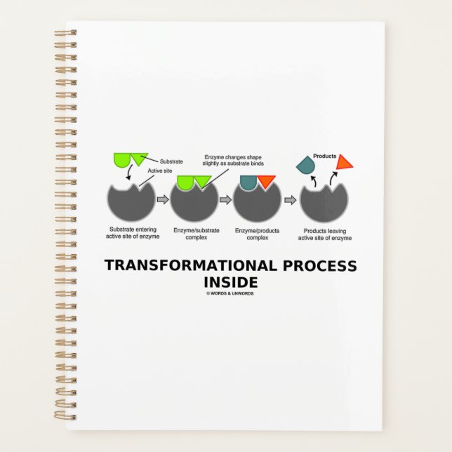 Processus transformationnel à l'intérieur du sous- (Devant)